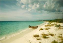 Bahia de las Aguilas